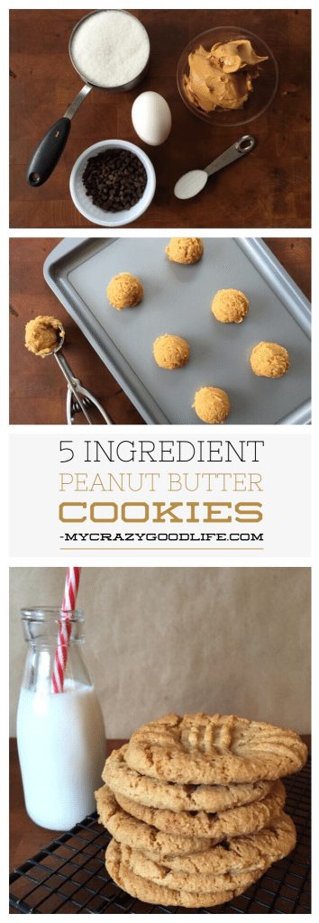 Five Ingredient Peanut Butter Cookie Recipe {You’re Welcome}
