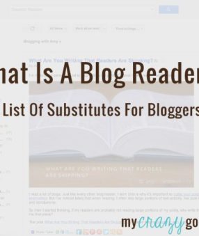 What is a blog reader?