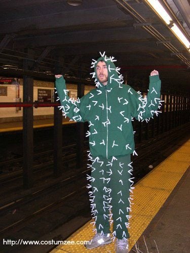 Cactus Costume