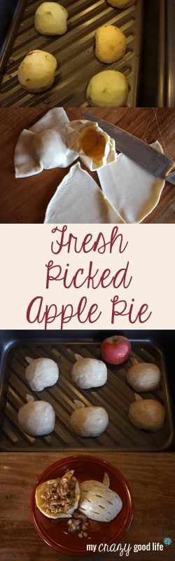 Fresh Picked Mini Apple Pie Recipe