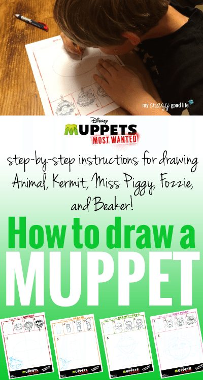 How to draw a muppet: Step by step instructions