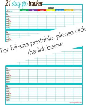 21 Day Fix Meal Tracker
