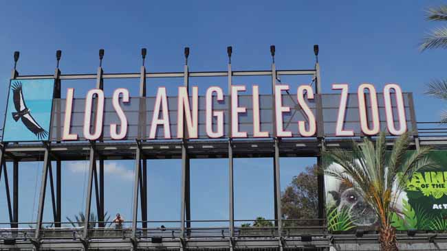 LA Zoo - Los Angeles