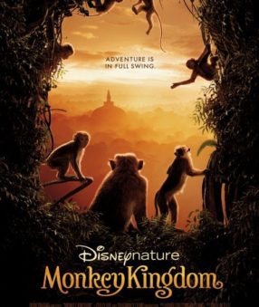 Disneynature's Monkey Kingdom