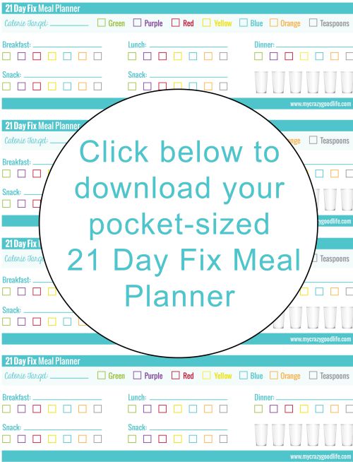 Pocket Size 21 Day Fix Daily Checklist