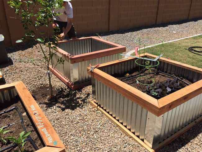 Raised Garden Beds With Corrugated Metal, Corrugated Metal Planter Box