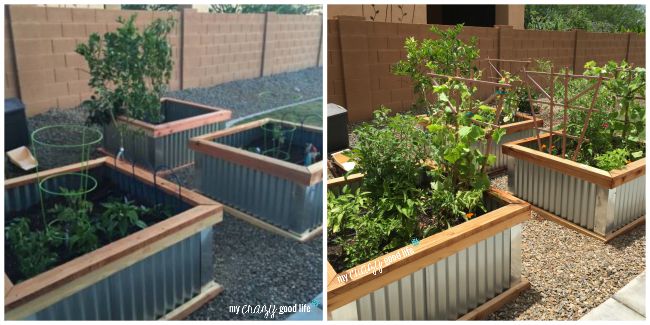 before and after DIY garden boxes