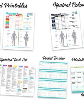 a snapshot of all the free 21 day fix printables