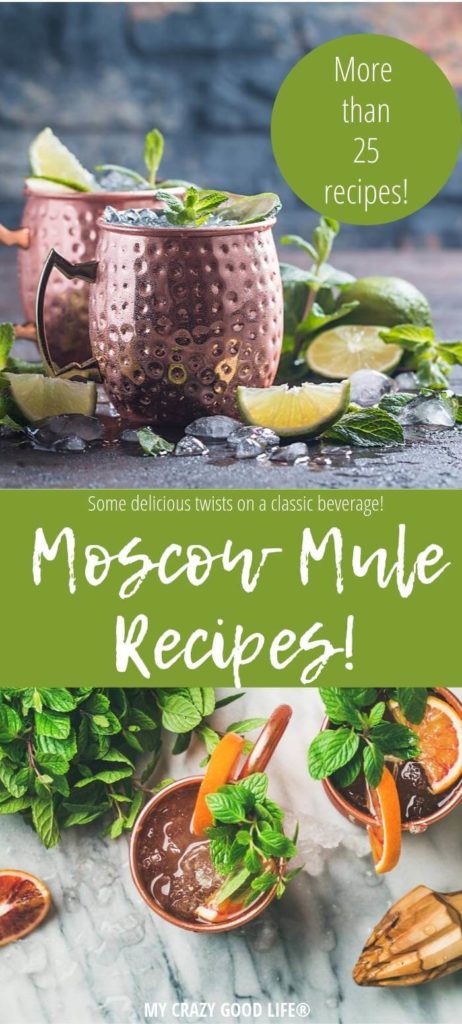 20+ Moscow Mule Variations: The BEST Moscow Mule Cocktail Recipes