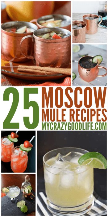 25 Moscow Mule Recipes