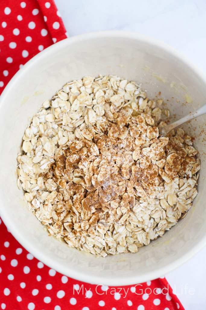 white bowl of oats, cinnamon and salt