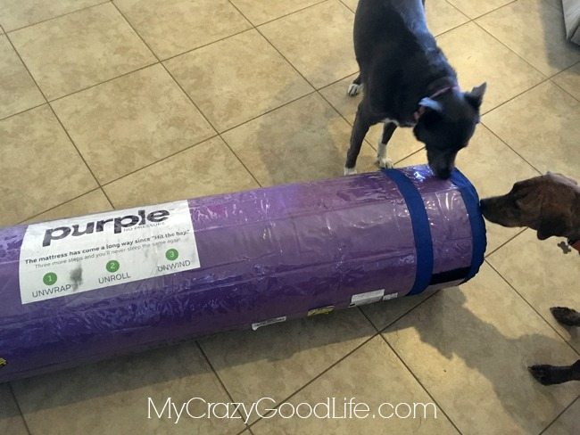 Purple Mattress Review