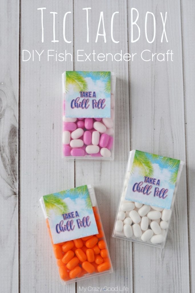 If you're looking for an easy Fish Extender craft, this Tic Tac Box DIY Fish Extender is adorable and so easy!