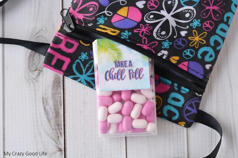If you're looking for an easy Fish Extender craft, this Tic Tac Box DIY Fish Extender is adorable and so easy!