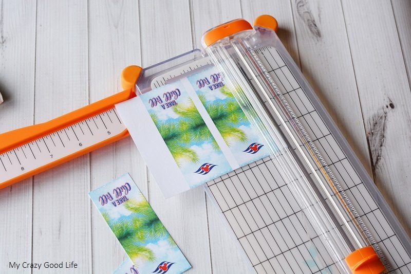 If you're looking for an easy Fish Extender craft, this Tic Tac Box DIY Fish Extender is adorable and so easy!