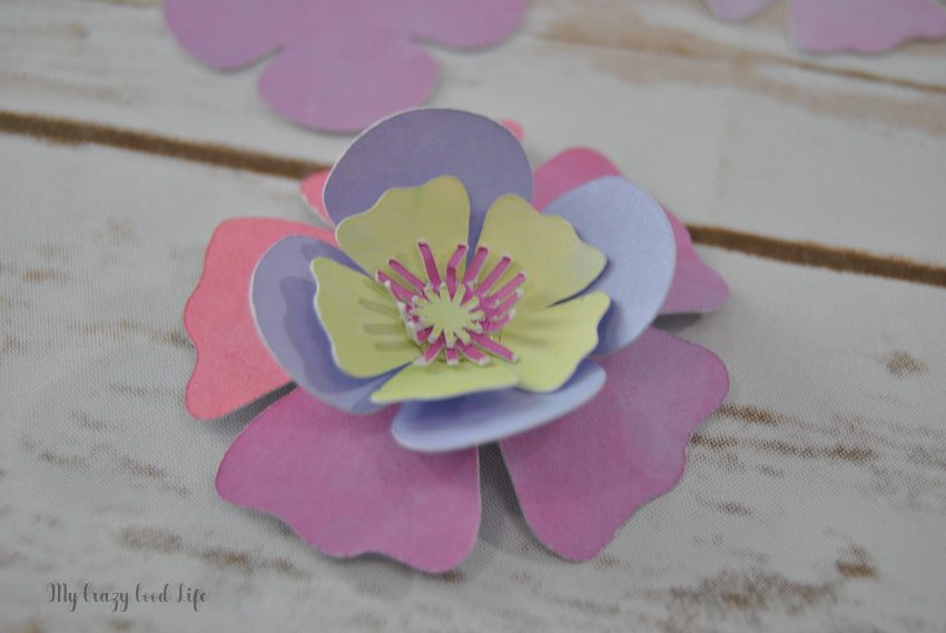 Learning how to make a paper flower can be tricky. Luckily these Cricut paper flowers are gorgeous AND easy to create. Plus, Cricut crafting time is fun! 