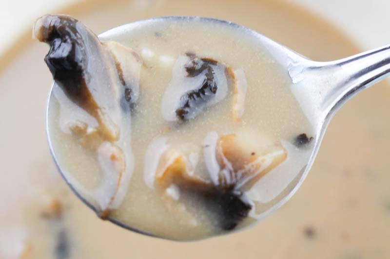 Homemade and Healthy Cream Of Mushroom Soup