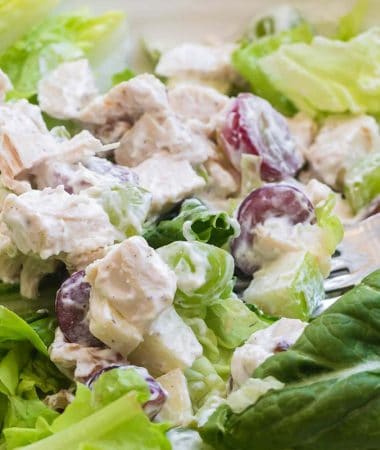close up of chicken salad on a bed of lettuce