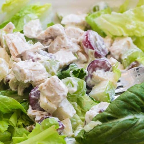 Healthy Chicken Salad with Yogurt : My Crazy Good Life