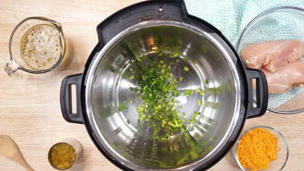 ingredients needed for this recipe in and around the instant pot