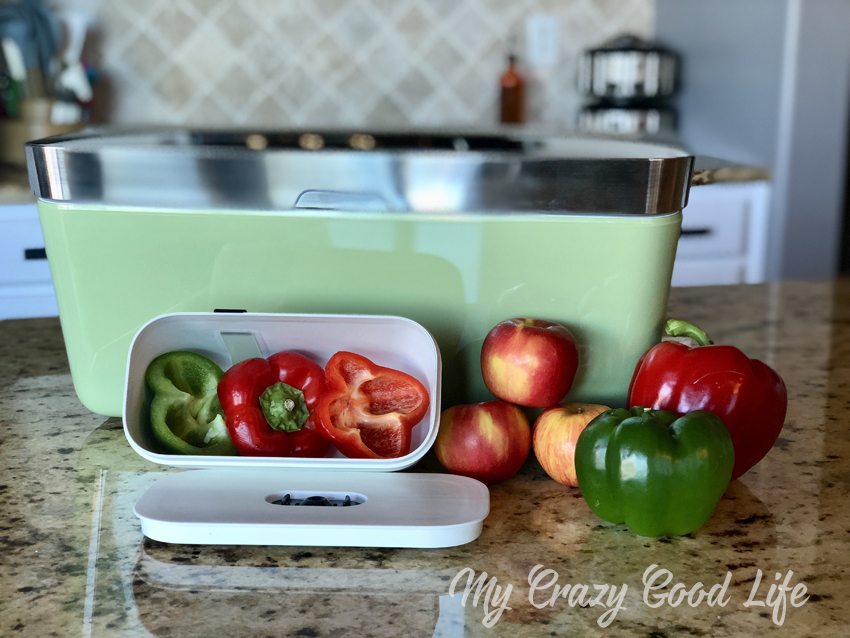 Lots of meal prep sometimes leads to lots of food waste. I've been looking for a way to store my fresh foods so they last longer, and I'm so thankful to Vacuvita for sending their food storage system for us to try. It's a vacuum seal container as well as a vacuum seal bag system!