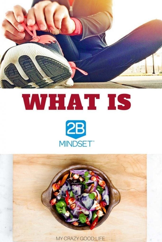 What Is 2B Mindset? An honest review of the program. | My ...