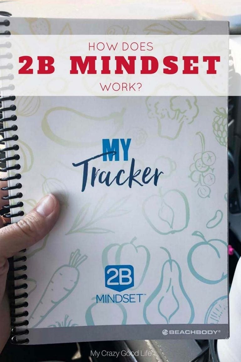 What Is 2B Mindset? An Honest Review Of The Program.