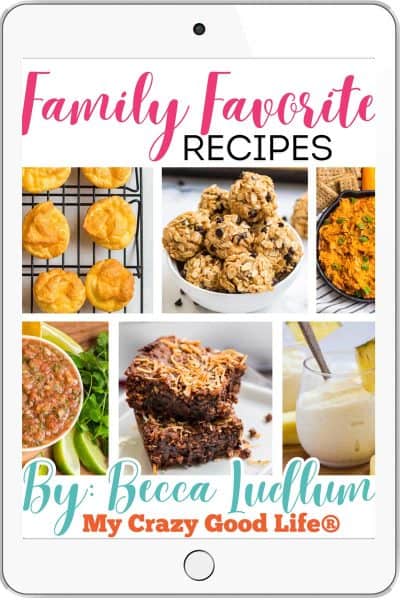 eBook cover of Family Favorite Recipes. There are six images on the page which include cloud bread, peanut butter bites, buffalo chicken dip, salsa, brownie bites, and dole whip.