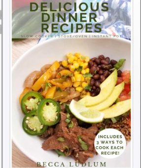 book cover for delicious dinner recipes