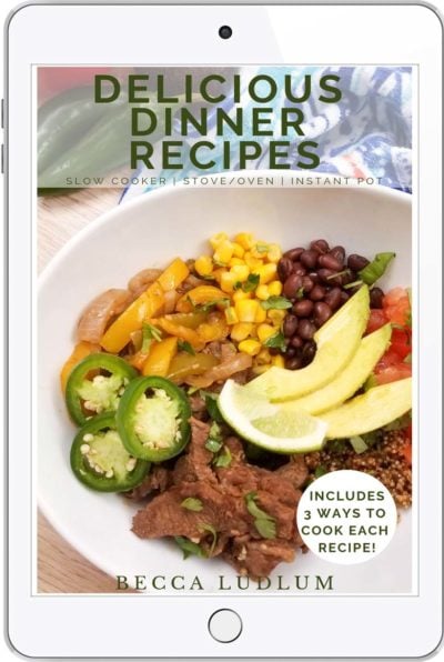 book cover for delicious dinner recipes