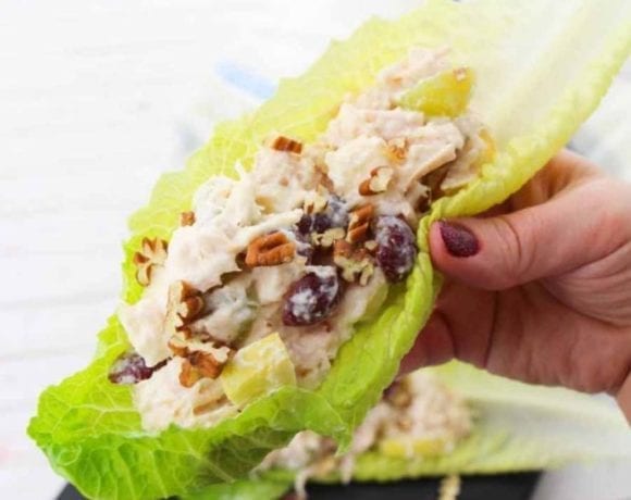 This Weight Watchers Chicken Salad is delicious and so easy to prepare! I love using rotisserie chicken for this, as it is a time saving recipe! Serve this on lettuce, make a chicken salad, or use it in a healthy chicken salad sandwich–it's up to you! Weight Watchers Healthy Chicken Recipe | Weight Watchers Lunch Recipe | Easy Weight Watchers Recipes #weightwatchers #points