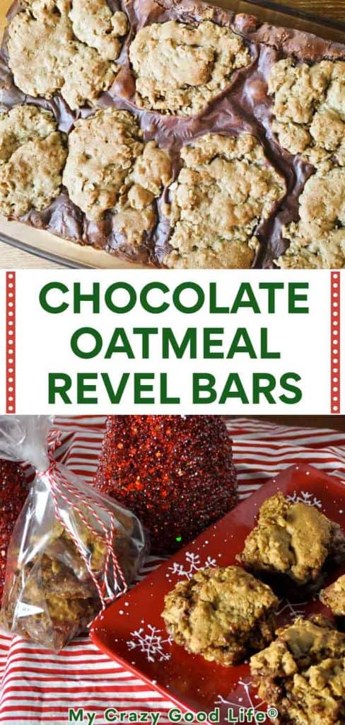 Chocolate Oatmeal Revel Bars Pin