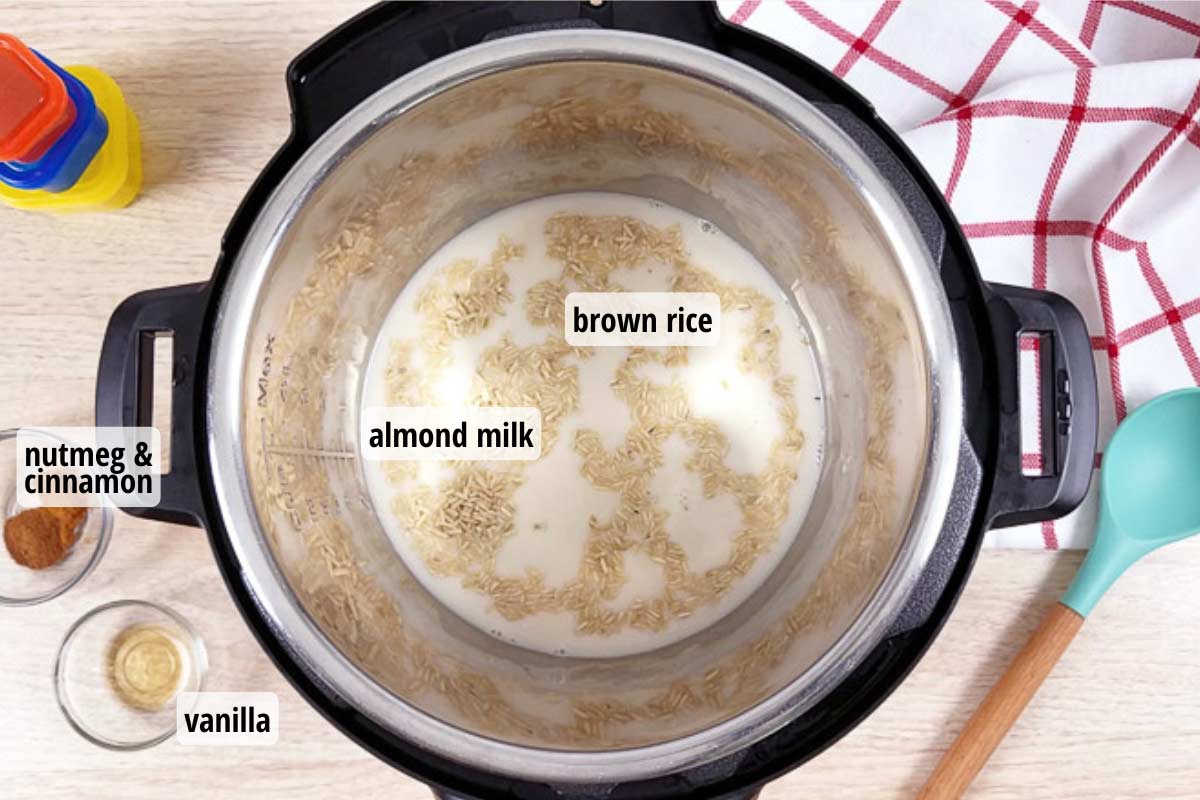 Red ramekin filled with brown rice pudding and topped with cinnamon and fresh berries.