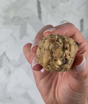 protein ball being held by hand