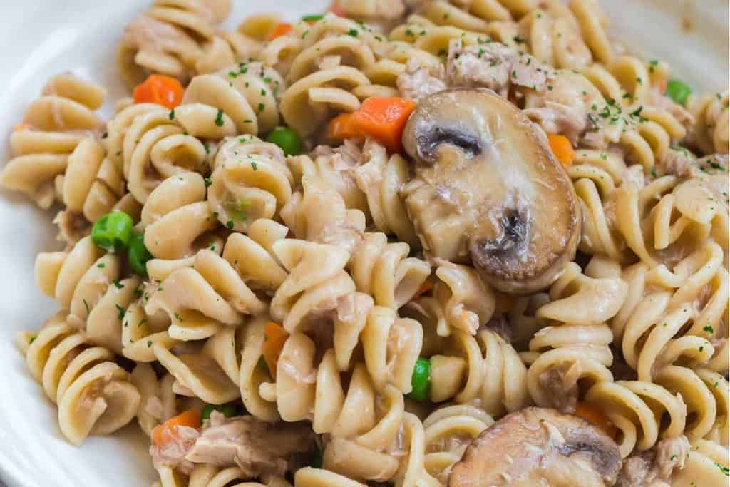 close up of tuna casserole on white dish