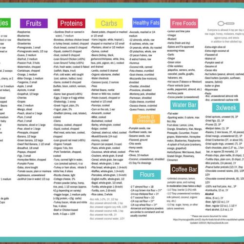 21 Day Portion Control Digital Journal | My Crazy Good Life