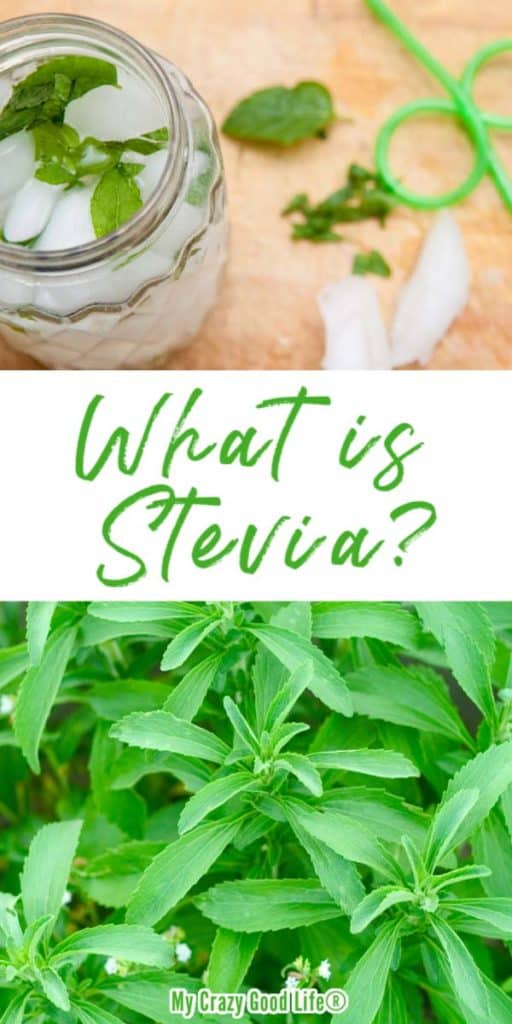 collage of stevia leaves and text for Pinterest