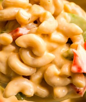 close up of healthy mac and cheese