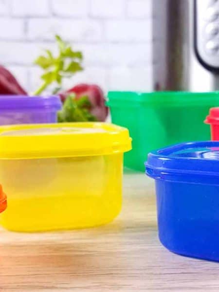 Wood countertop with 21 day fix containers on top. There is an Instant Pot and some fresh vegetables in the background.