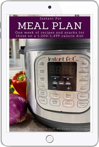 book cover with text and image of instant pot close up