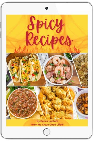 iPad cover with multiple food images and the title in red letters reads Spicy Recipes