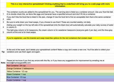spreadsheet with instructions for 21 day meal plan