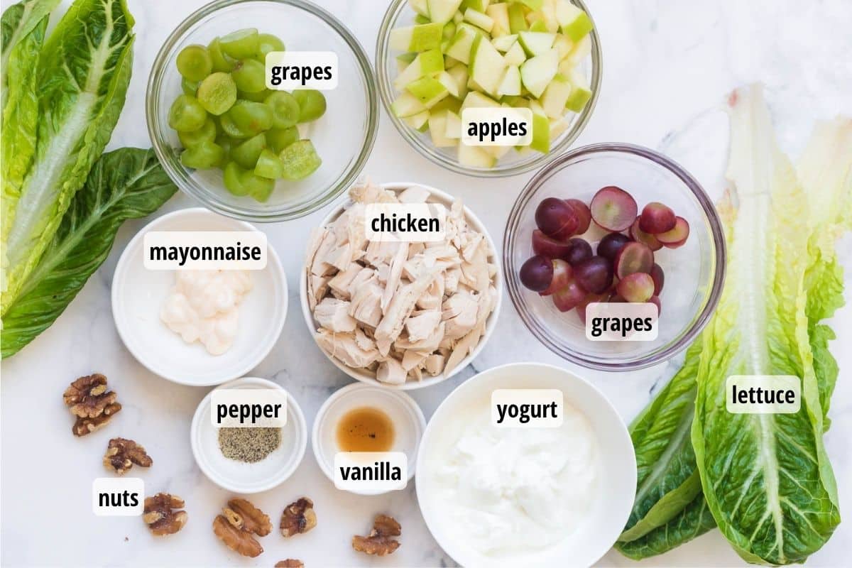 A white counter top with several romaine lettuce leaves, a scattering of walnuts, and 8 bowls of ingredients needed to make Weight Watchers Chicken Salad with Grapes.
