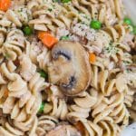 White plate with cooked tuna casserole, showing noodles, sliced mushrooms, and diced peas and carrots.