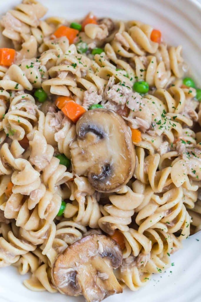 White plate with cooked tuna casserole, showing noodles, sliced mushrooms, and diced peas and carrots. 