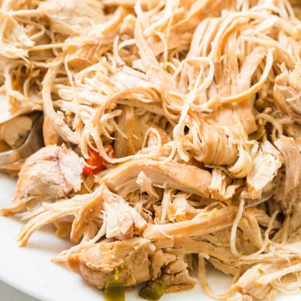 A white plate with cooked shredded chicken and tomatoes.