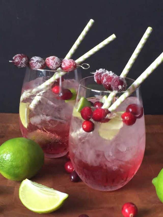 Cranberry Margarita Recipe Story